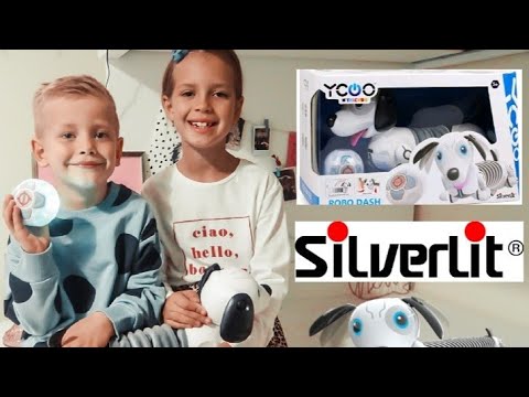 OUR NEW PET IS A ROBOT! ROBO DASH TOY REVIEW