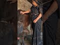 Cow Buffalo Cattle Farming Village