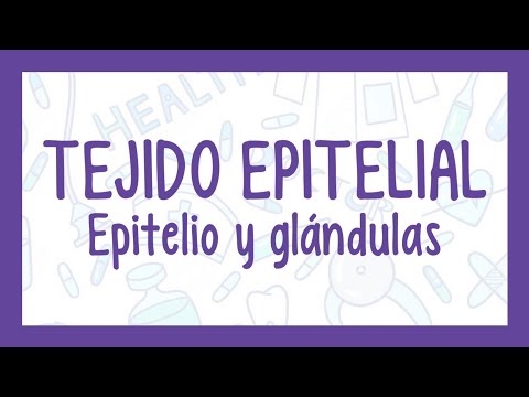 EPITHELIAL TISSUE | Easy explanation! (Histology)
