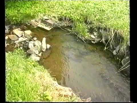 Reklamy Regionalne - TEDE (30.05.2002)