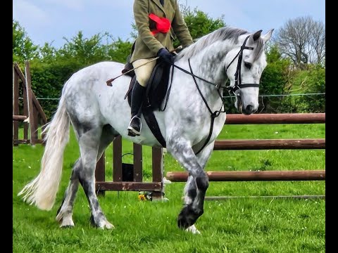 π Super Oversized Connemara π - Image 2