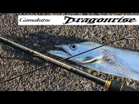 【速報】 LUXXEドラゴンライズ【太刀魚】