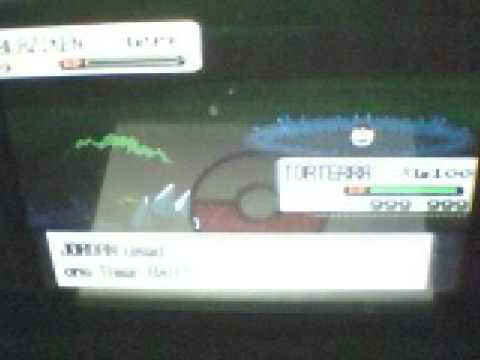 how to capture a blaziken and level it up to level 100