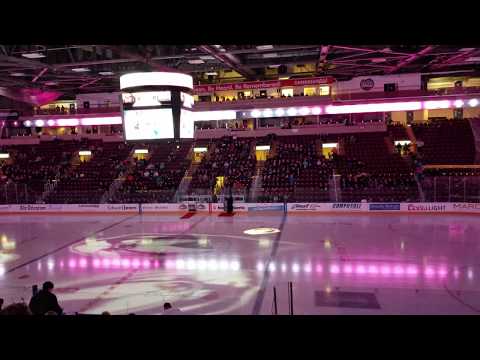 Newfoundland Growlers