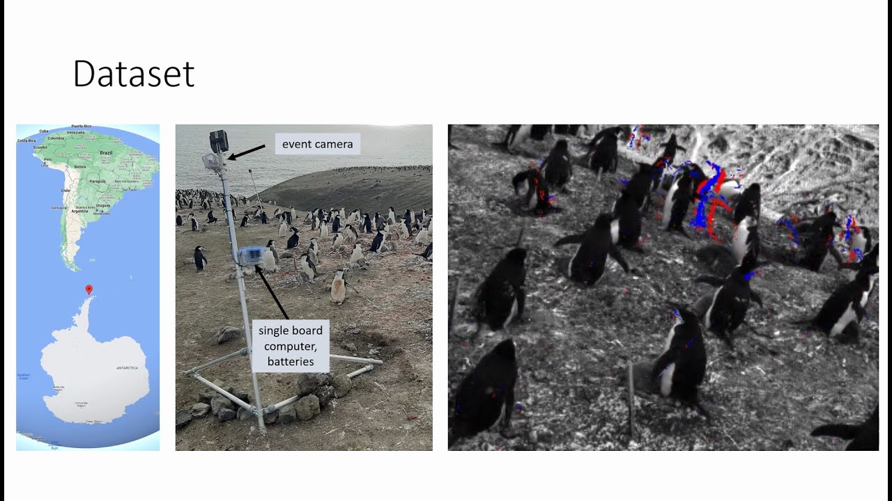 Event Penguins: Low-power, Continuous Remote Behavioral Localization with Event Cameras (CVPR 2024)