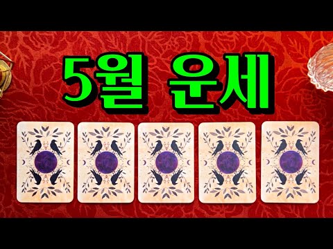 [타로] 5월 운세 총운 ✨ 이번달 가장 중요한 일