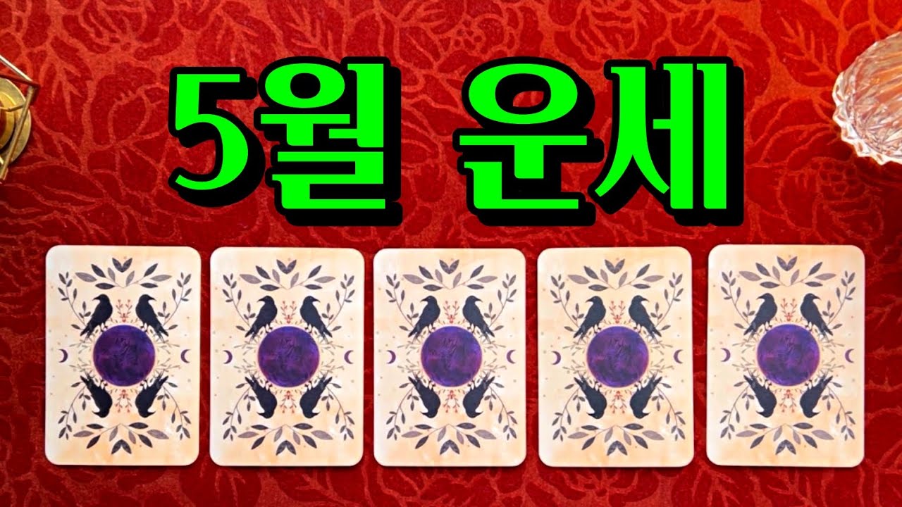 [타로] 5월 운세 총운 ✨ 이번달 가장 중요한 일