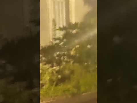 a la luz de la luna romántica #viral