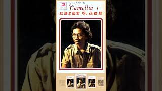 Download lagu Camellia 1 - Ebiet G. Ade #ebiet_g_ade #camelia #laguindonesia #videoshort #shorts mp3