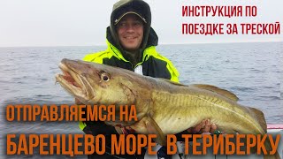 Ссылка