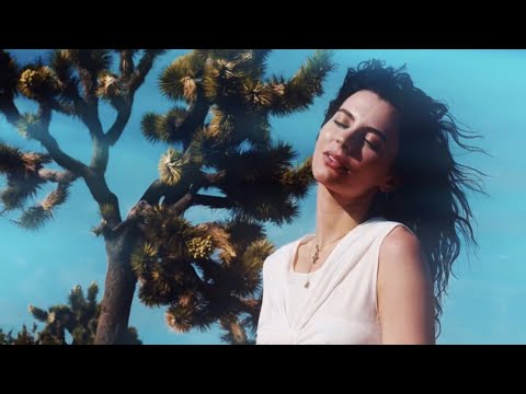 Amber Van Day - The Secret (Official Lyric Video)