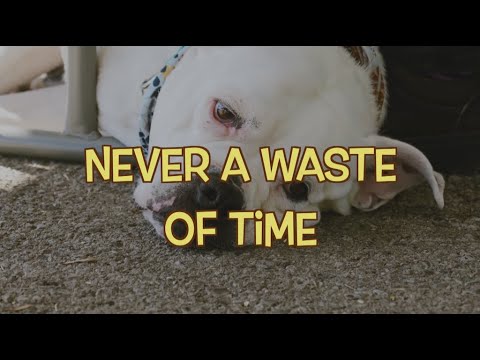 Never A Waste Of Time lyric video