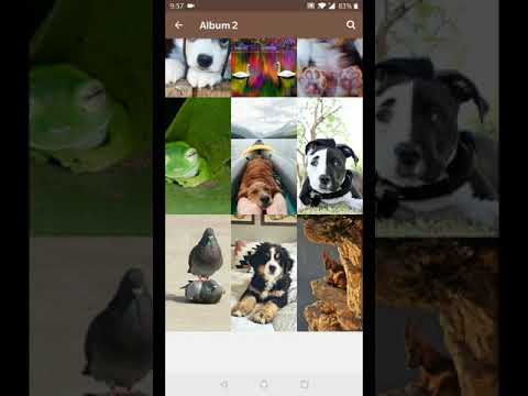 Animal Wallpapers Video
