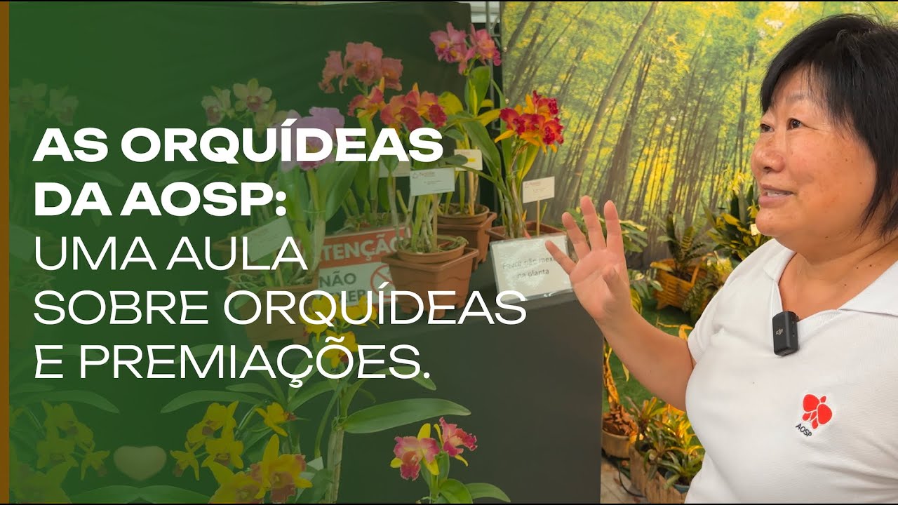 As Orquideas da AOSP: Associação dos Orquidófilos de SP.