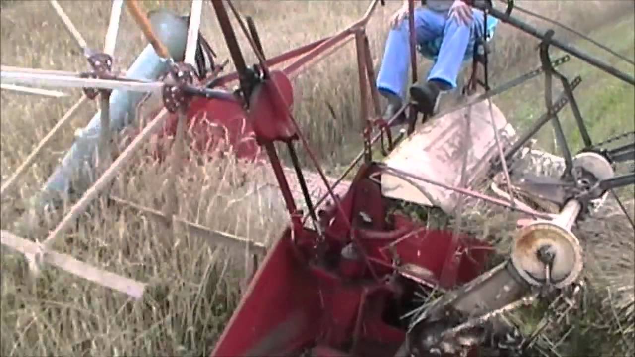 Kornernte mit Mähbinder