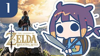 Thumbnail for 【BOTW】 From Zako to Tako 【#1】 (3:16:15)