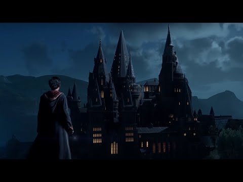 Kad Harija Potera  #1471///