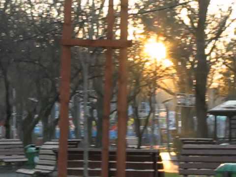 Vreme primavaratica pe 24 Decembrie 2014