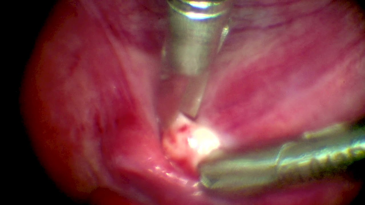 Leonardo Cardinali-21