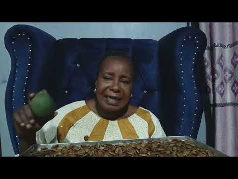 medicinal value of Picralima nitida ( eso abeere )