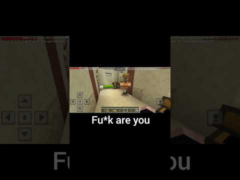 Villager - Um, excuse me, What the actual f--k are you doing in my house?