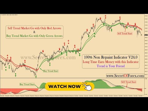 Best scalper trader in the world