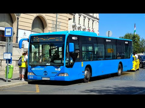 Terelt 16A, 216/216A buszok 2025. augusztus 19-én