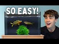 The Most Profitable Fish You Need to Breed!