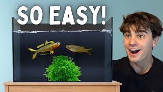 The Most Profitable Fish You Need to Breed!