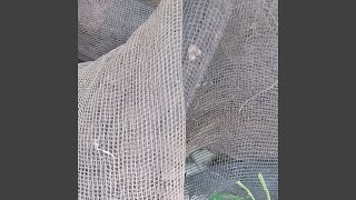 Download lagu Kanyaah Kuring anjeun teh mp3 Download lagu Kanyaah Kuring anjeun teh mp3