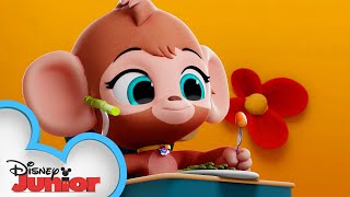 Happy Thanksgiving from TOTS 🦃 | T.O.T.S. | Disney Junior