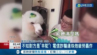 [問卦] 如何噁心詐騙集團