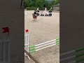 Poney C CSO/Hunter/Dressage