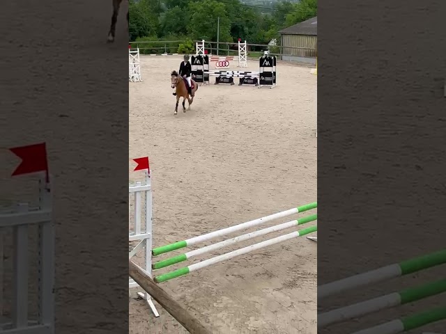 Poney C CSO/Hunter/Dressage