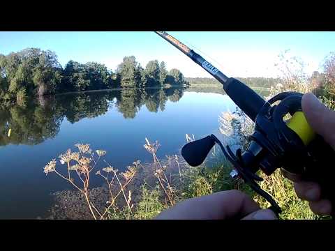 Ловля окуня на поппер с мультипликаторной катушкой