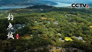 《钓鱼城》第三集 围城 | CCTV纪录