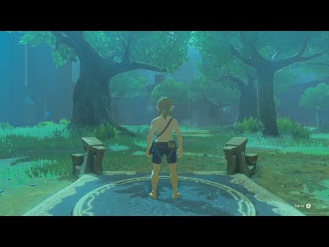 La Prova della Spada 1/7 [The Legend of Zelda Breath of the Wild DLC 1 ep 2]