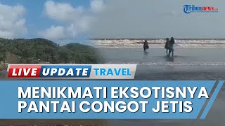 YUK Nikmati Eksotisnya Pantai Congot di Cilacap, Rasakan Angin Semilir dan Lembutnya Pasir Pantai