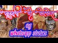 Bahubali Ke Cherchera Cherchera Tihar Special By Chhattisgarh Status