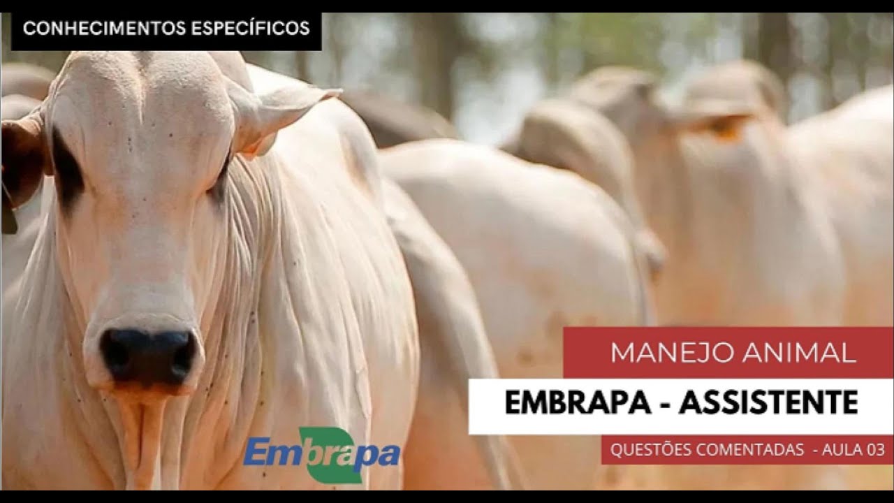 Concurso Embrapa nível fundamental - Manejo animal questões - Aula 03