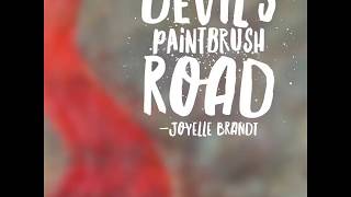 Devil&#39;s Paintbrush Road