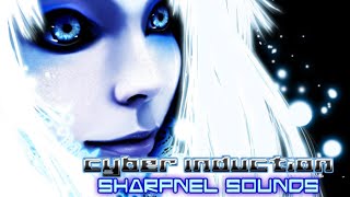 Cover art for CYBER INDUCTANCE DT