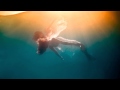 Sundra Drifting In The Sea Of Dreams Chapter 2