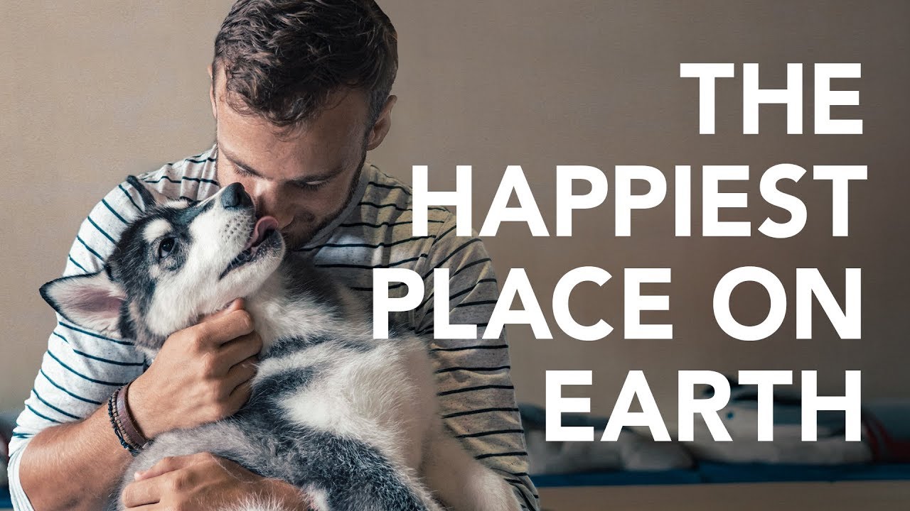 Experience the captivating Huskitory through this video, a must-visit for every traveler.