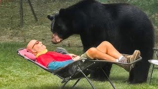 OS MOMENTOS MAIS DIVERTIDOS COM ANIMAIS EM 2025 FLAGRADOS PELAS CÂMERAS