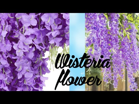 DIY / Wisteria flower /How to make Wisteria flowers from crepe paper/easy craft idea/Home decor