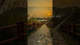 Download lagu Yaar alaippathu ✨ song whatsapp status ✨ Divii Editz ❤️😉#shorts#MAARA# mp3