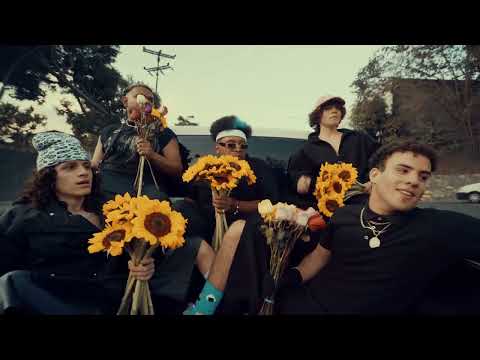 LOS MENOR3S + Oliwi + Afro N*gga - BURDA DE FLORES (VISUALIZER)