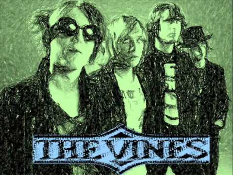 The Vines - Compilation Best Of (Full Album)