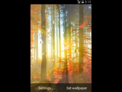 Real Raindrops LWP Video